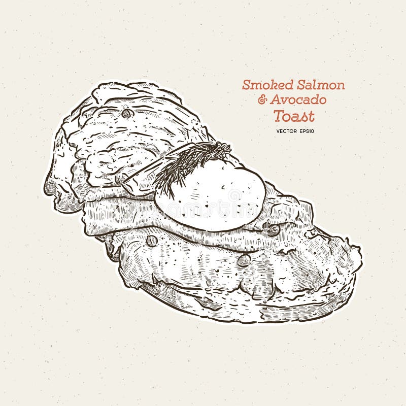 Poached egg on toast, with smoked salmon and avocado, hand draw sketch vector royalty free illustration