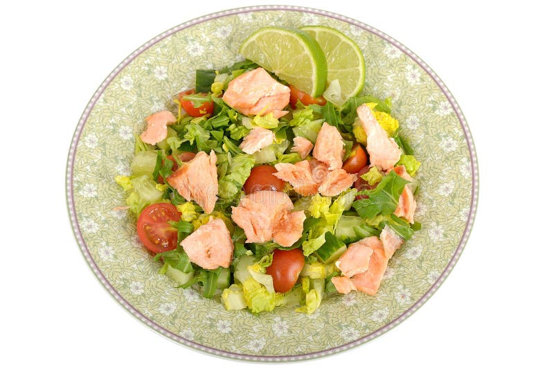 Poached Salmon Fillet with mixed Salad royalty free stock photos