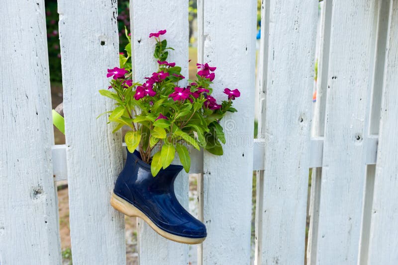 Little flower in the shoe on the wood decorate. Little flower in the shoe on the wood decorate