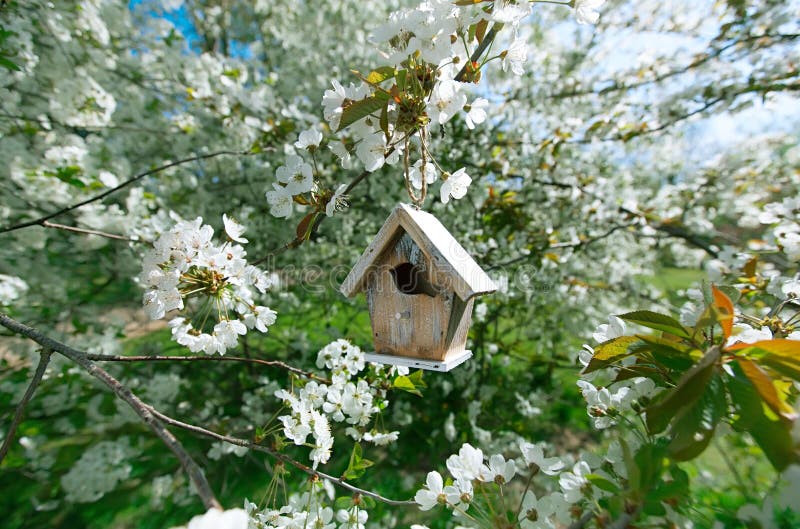 Casas Artesanales Para Pájaros Pintadas a Mano En El Tronco De árbol Imagen  de archivo - Imagen de habitat, handmade: 217645919