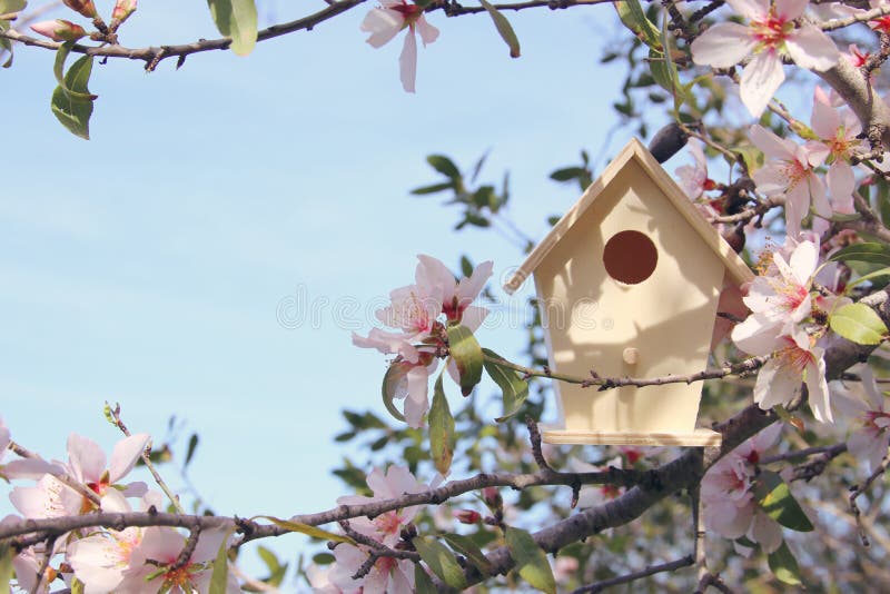 Poco aviario in primavera sopra il ciliegio del fiore fotografie stock Poco aviario in primavera sopra il ciliegio del fiore fotografie stock