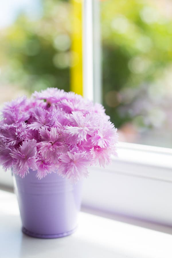 Little purple bucket with tender bouquet of beautiful pink carnation near window in daylight. Spring card. Little purple bucket with tender bouquet of beautiful pink carnation near window in daylight. Spring card.