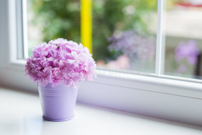 Little purple bucket with tender bouquet of beautiful pink carnation near window in daylight. Spring card. Little purple bucket with tender bouquet of beautiful pink carnation near window in daylight. Spring card.