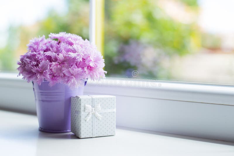 Little purple bucket with tender bouquet of beautiful pink carnation with white gift box near window in daylight. Spring card. Little purple bucket with tender bouquet of beautiful pink carnation with white gift box near window in daylight. Spring card.
