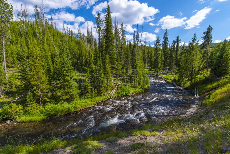 Poco fiume di Firehole vicino alle cadute mistiche immagine stock libera da diritti Poco fiume di Firehole vicino alle cadute mistiche immagine stock libera da diritti