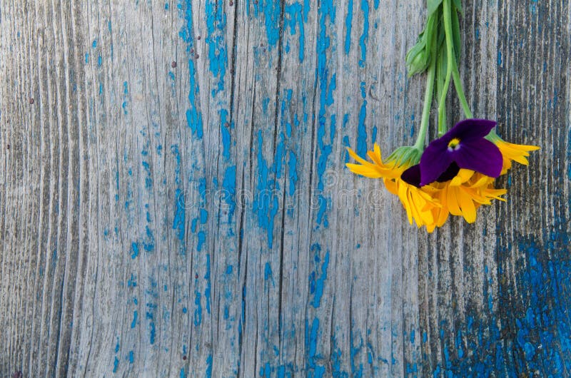 Poco mazzo dal lato su un vecchio bordo blu dipinto di legno con le crepe, struttura fotografie stock Poco mazzo dal lato su un vecchio bordo blu dipinto di legno con le crepe, struttura fotografie stock