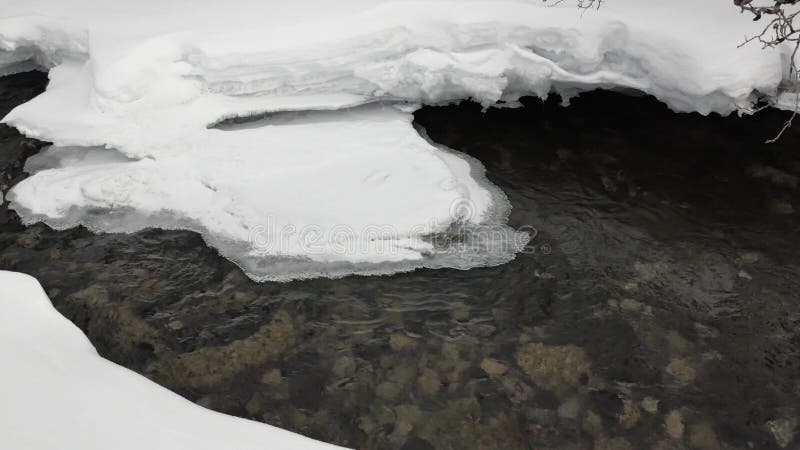 Poco piedras marrones debajo de la corriente transparente del agua potable almacen de video