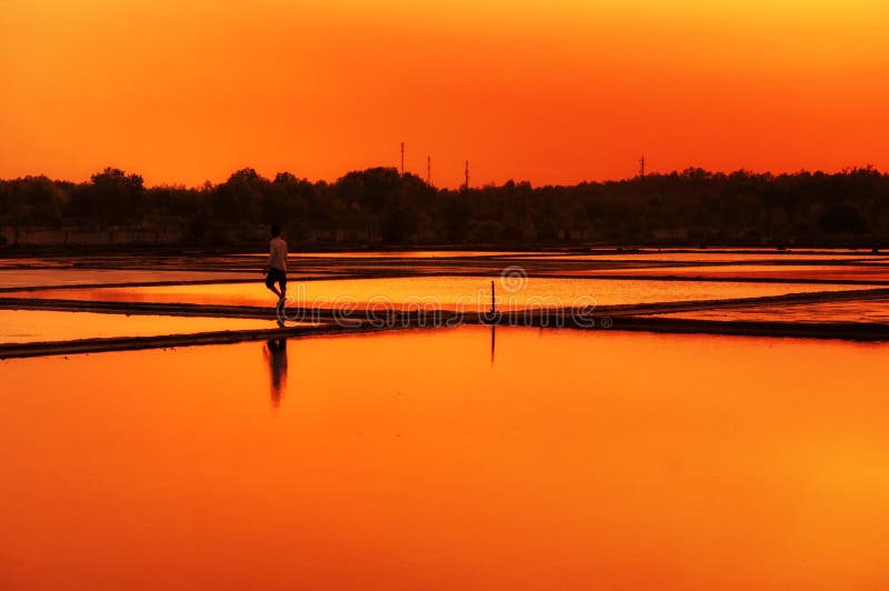 Pode Gio Rice Paddy Sunset South Vietname