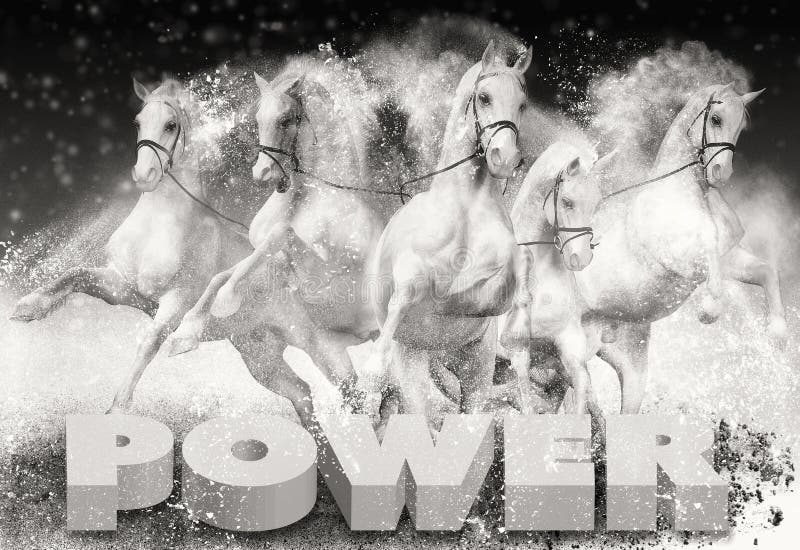 Poder de cavalo fotografia de stock royalty free Poder de cavalo fotografia de stock royalty free