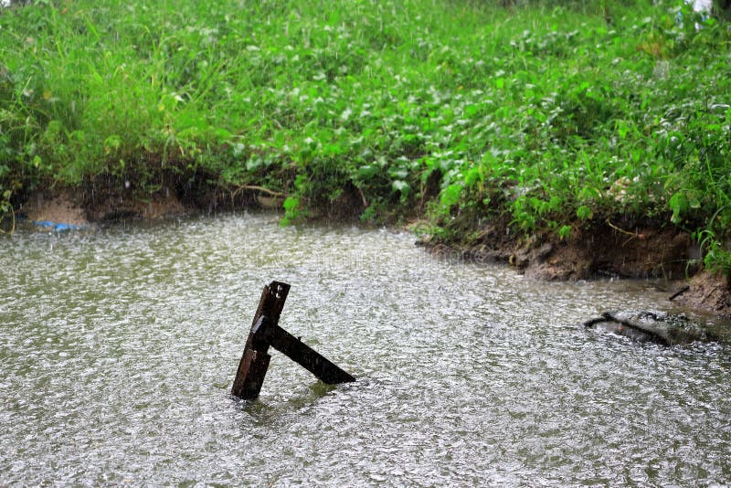 Podeszczowa kropla w wodzie z rocznikiem drewnianym w kanale, jako natura