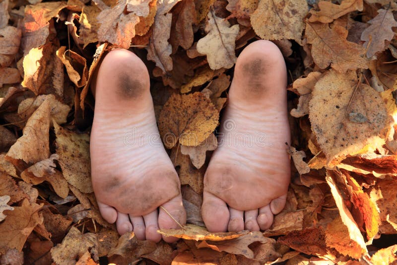 Dirty soles of bare feet of a little girl hidden in dry leaves. Dirty soles of bare feet of a little girl hidden in dry leaves