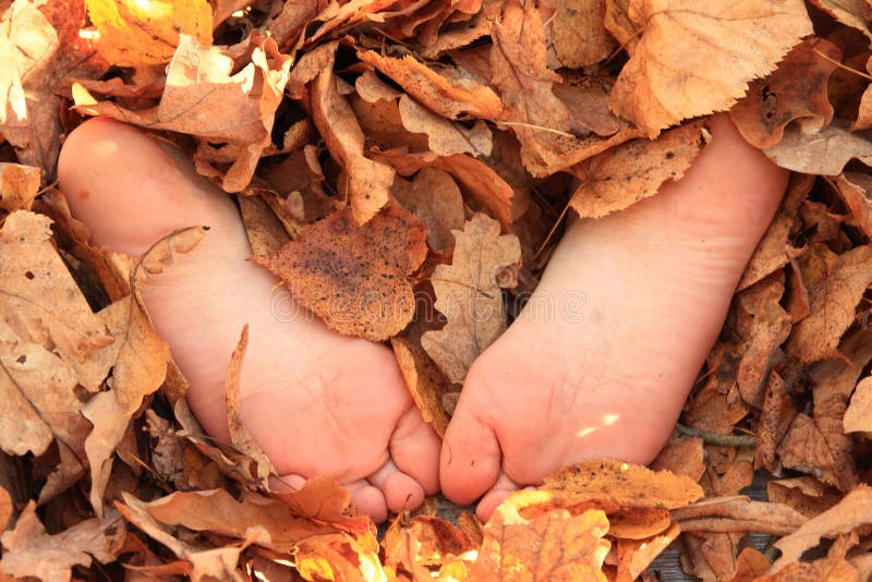 Soles of bare feet of a little girl hidden in dry leaves. Soles of bare feet of a little girl hidden in dry leaves