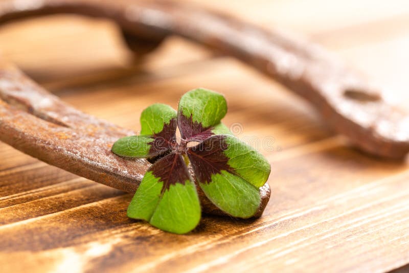 Podkowa z zielonym shamrock znakiem dla szczęścia dla st patricks dnia zdjęcia royalty free Podkowa z zielonym shamrock znakiem dla szczęścia dla st patricks dnia zdjęcia royalty free