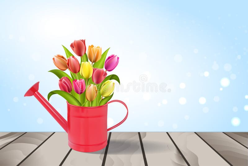 Podlewanie puszka z bukietem tulipany ilustracji Podlewanie puszka z bukietem tulipany ilustracji