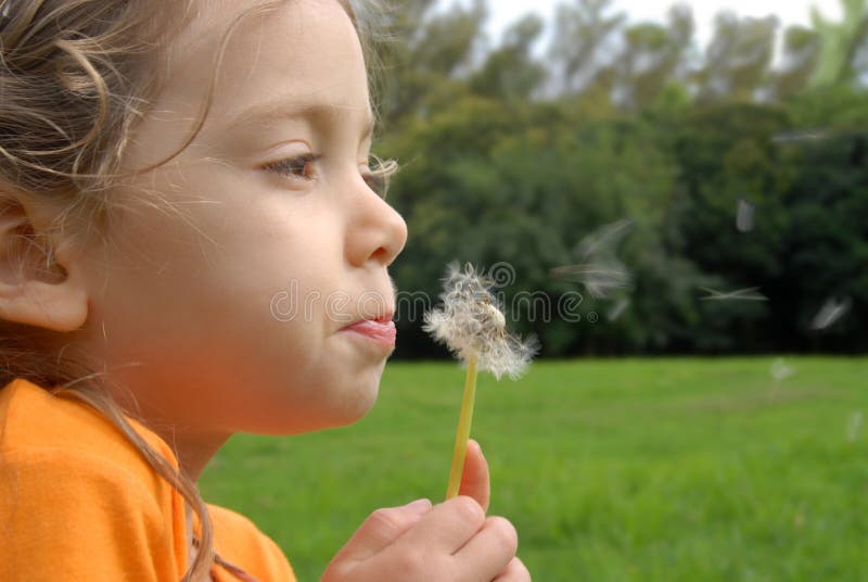 podmuchowy dandelion dziewczyny litlle obrazy stock podmuchowy dandelion dziewczyny litlle obrazy stock