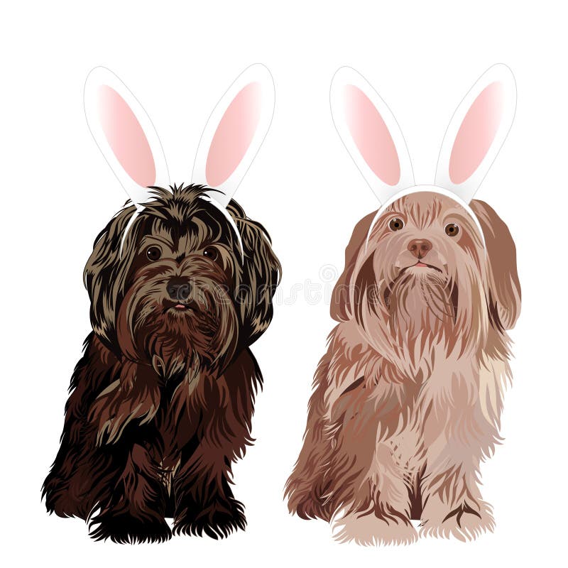 Podołka pies ubierał z królika Easter ucho odizolowywającymi na białym tle ilustracja wektor Podołka pies ubierał z królika Easter ucho odizolowywającymi na białym tle ilustracja wektor