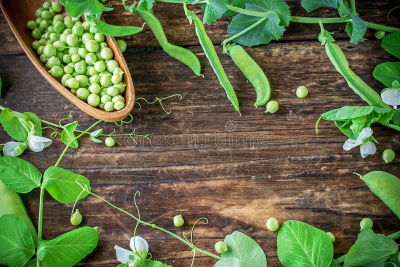 Pods of green peas on a wooden table royalty free stock image Pods of green peas on a wooden table royalty free stock image