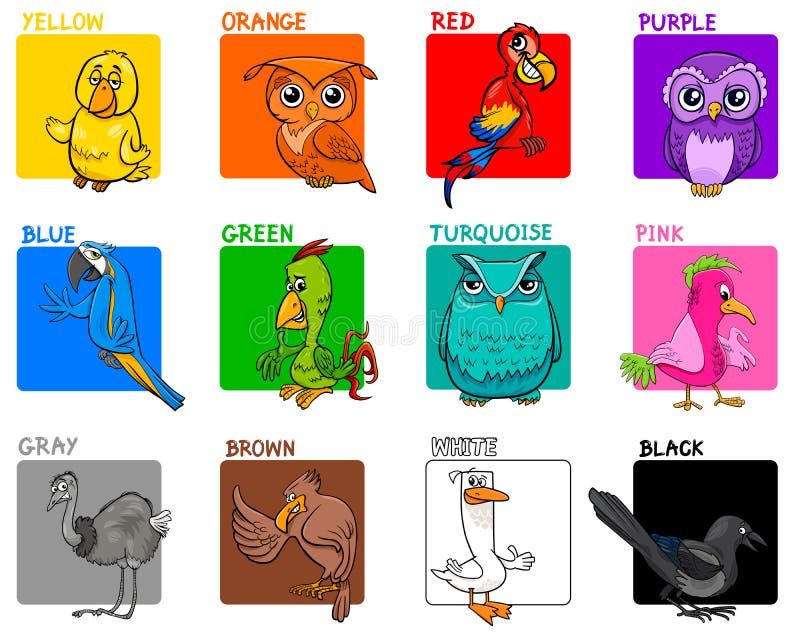 Podstawowej kolor kreskówki edukacyjny set z ptakami ilustracja wektor Podstawowej kolor kreskówki edukacyjny set z ptakami ilustracja wektor