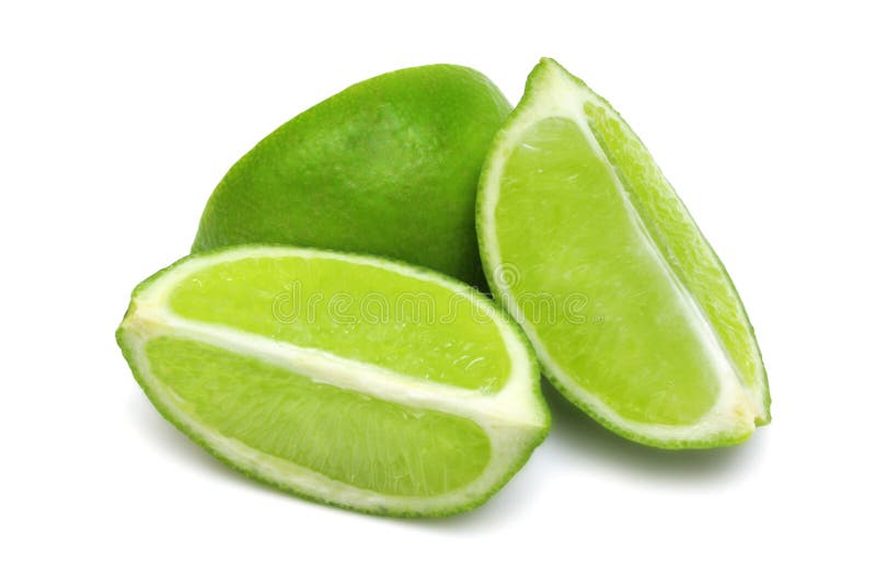 Poduri de var royalty free stock photo