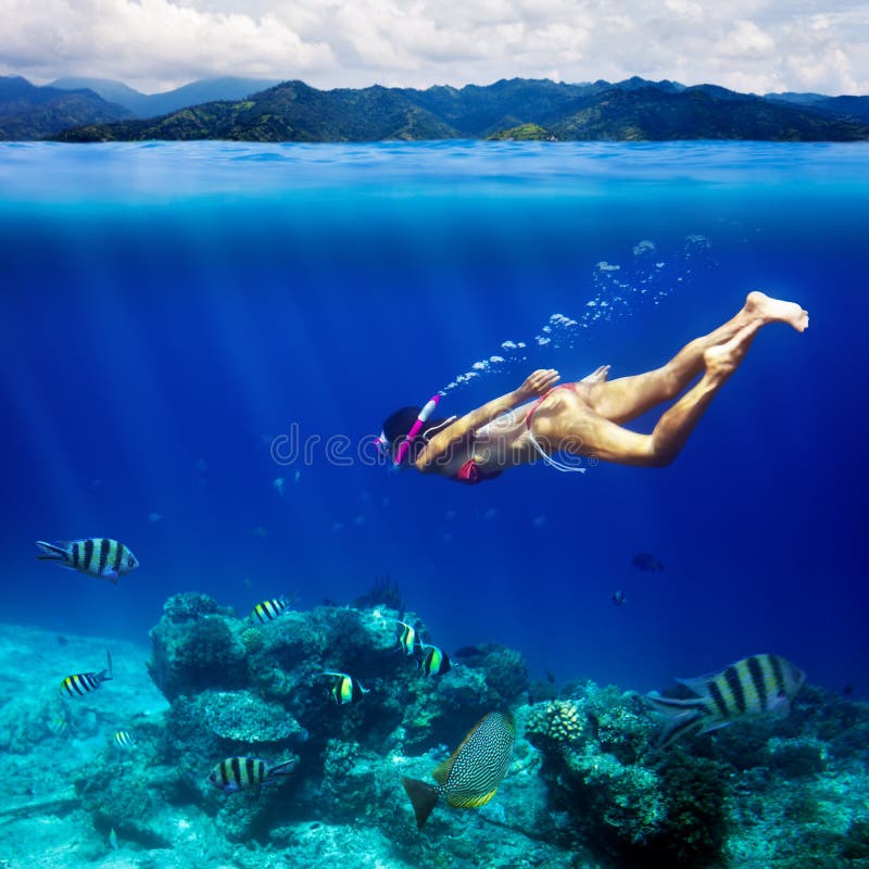 Podwodny krótkopęd młoda kobieta snorkeling w tropikalnym morzu a obrazy stock Podwodny krótkopęd młoda kobieta snorkeling w tropikalnym morzu a obrazy stock