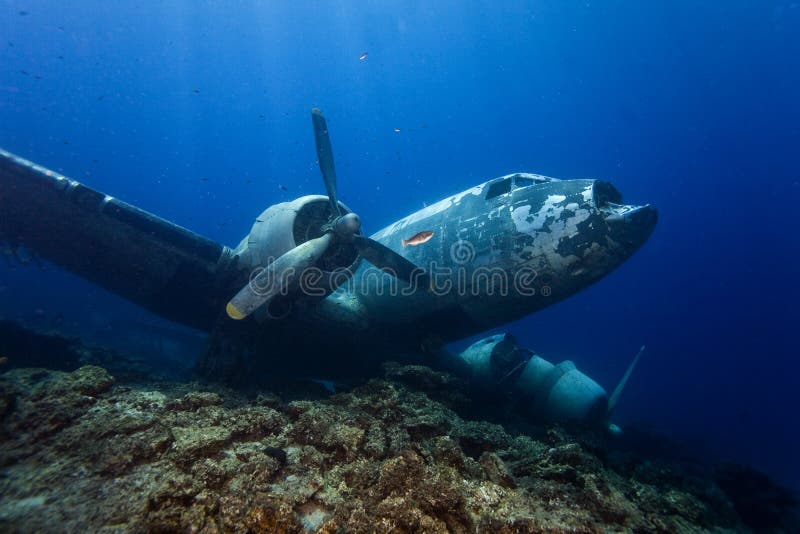 Podwodny w Maldives, samolotu wrak od drugiej wojny światowa zdjęcie stock Podwodny w Maldives, samolotu wrak od drugiej wojny światowa zdjęcie stock