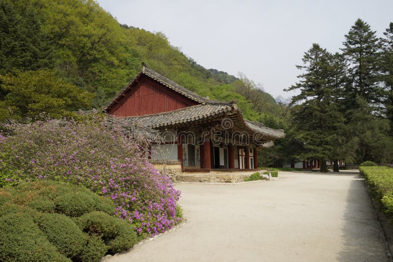  Pohyonsa-Tempel, DPRK (Nordkorea) lizenzfreie stockfotografie