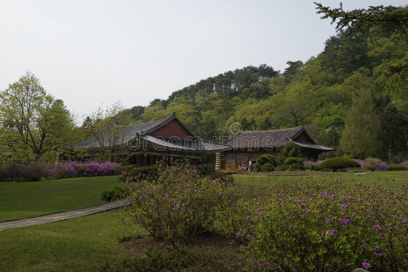  Pohyonsa-Tempel, DPRK (Nordkorea) stockfotografie