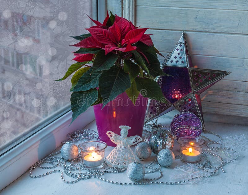 Download Poinsettia Dans La Fenêtre à La Veille Du Producti De Christmasmass Image stock - Image du glace, chandelier: 77152607