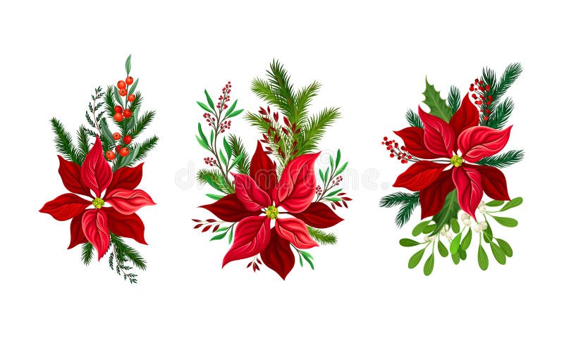 poinsettia vector clipart of kids