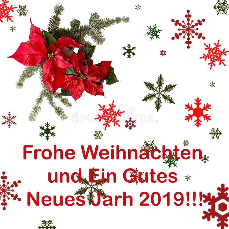 Poinsettia rode bloem met spar en sneeuw op witte achtergrond Groetenkerstkaart prentbriefkaar christmastime Rode Wit en royalty-vrije illustratie Poinsettia rode bloem met spar en sneeuw op witte achtergrond Groetenkerstkaart prentbriefkaar christmastime Rode Wit en royalty-vrije illustratie