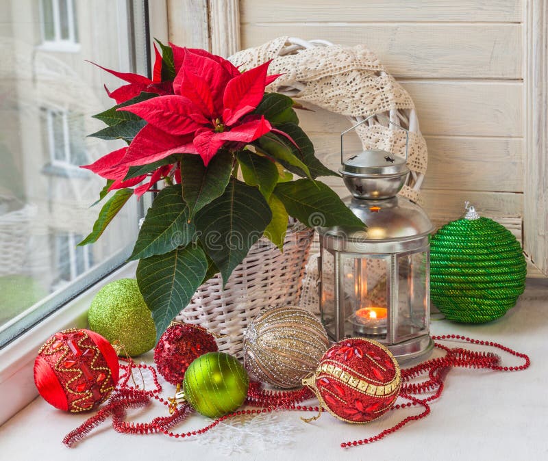 Poinsettia и фонарик в окне накануне пришествия стоковая фотография Poinsettia и фонарик в окне накануне пришествия стоковая фотография
