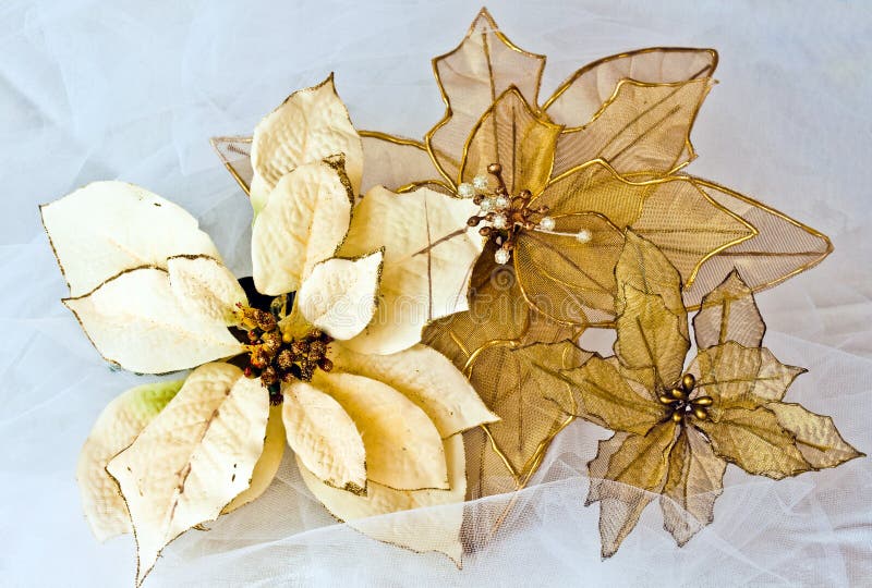 Three Gold Poinsettias on a brocade background. Three Gold Poinsettias on a brocade background