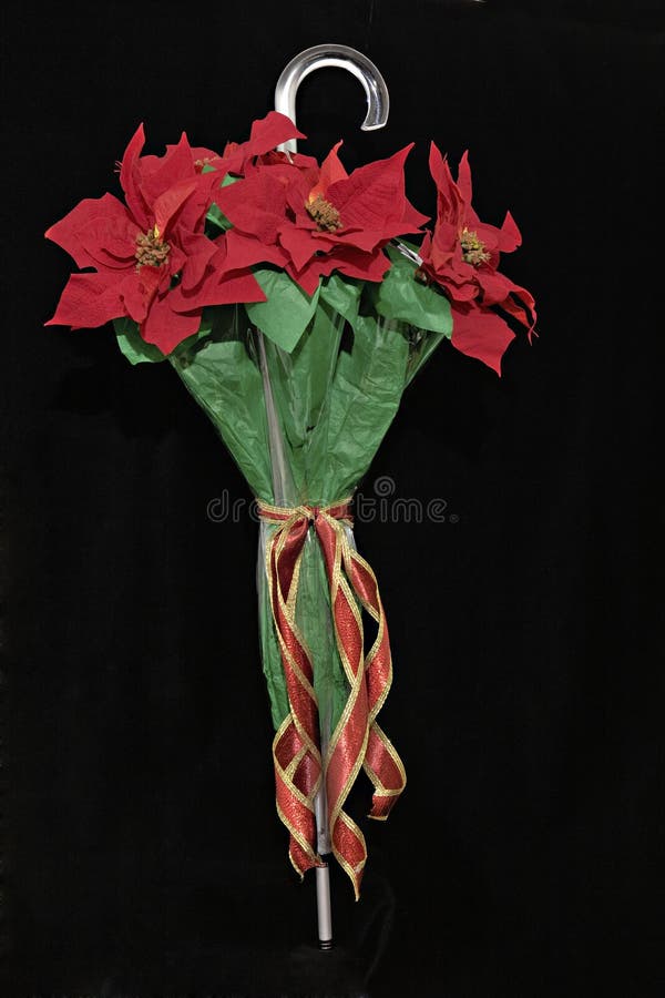 Umbrella with large red poinsettias placed in closed umbrella for hanging on a wall or door as a Christmas decoration. Umbrella with large red poinsettias placed in closed umbrella for hanging on a wall or door as a Christmas decoration