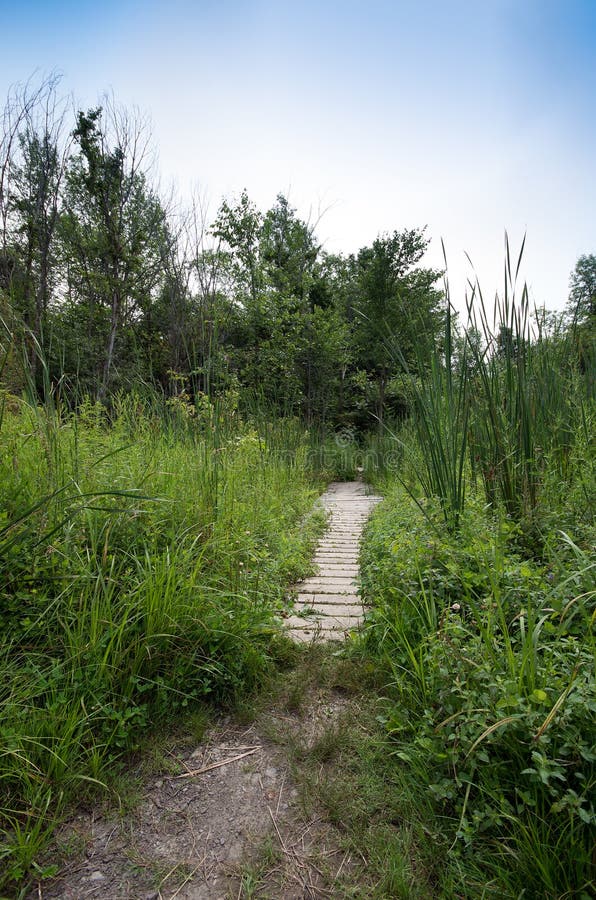 Point Au Roche State Park stock photo. Image of trails 57788842