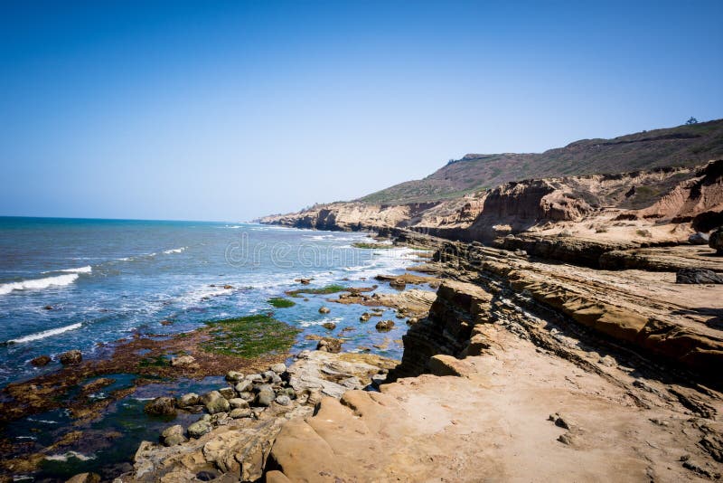 Point Cabrillo Tide Pools, seaweed and rocks in San Diego along the shores of the Pacific Ocean