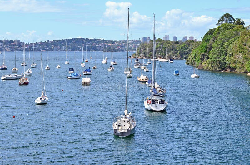 Point de Cremorne à la promenade côtière de la baie de Mosman, Sydney, Australie images stock