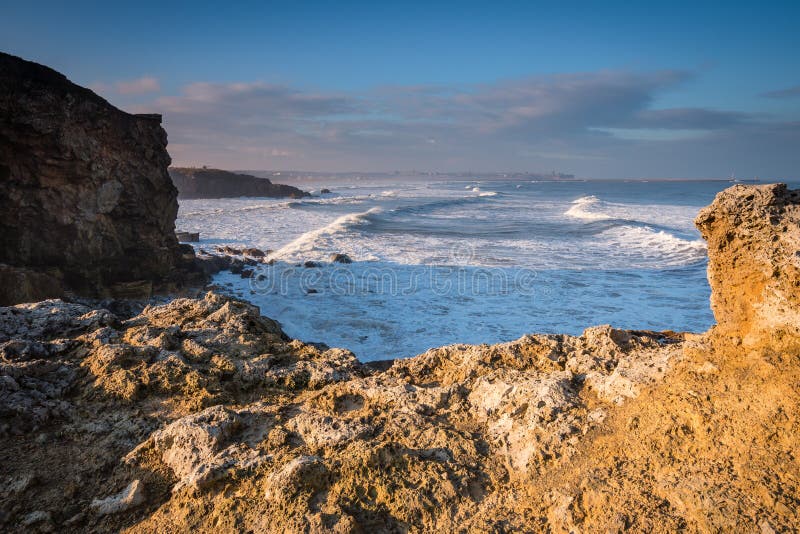 Point de Trow aux boucliers du sud image stock Point de Trow aux boucliers du sud image stock