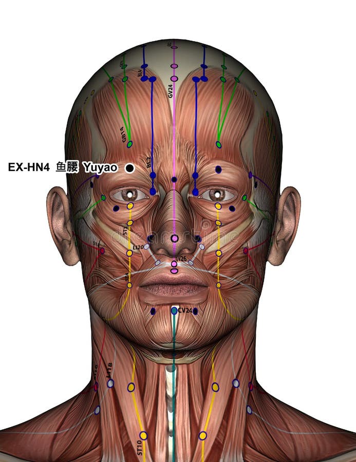 Point EXHN4 Yuyao D'acuponcture Illustration Stock Illustration du