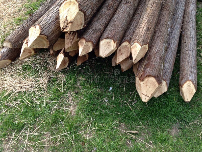 Pointed fence posts royalty free stock image