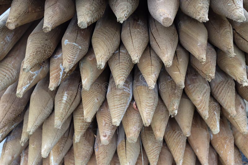 Pointed wood fence posts stock photo