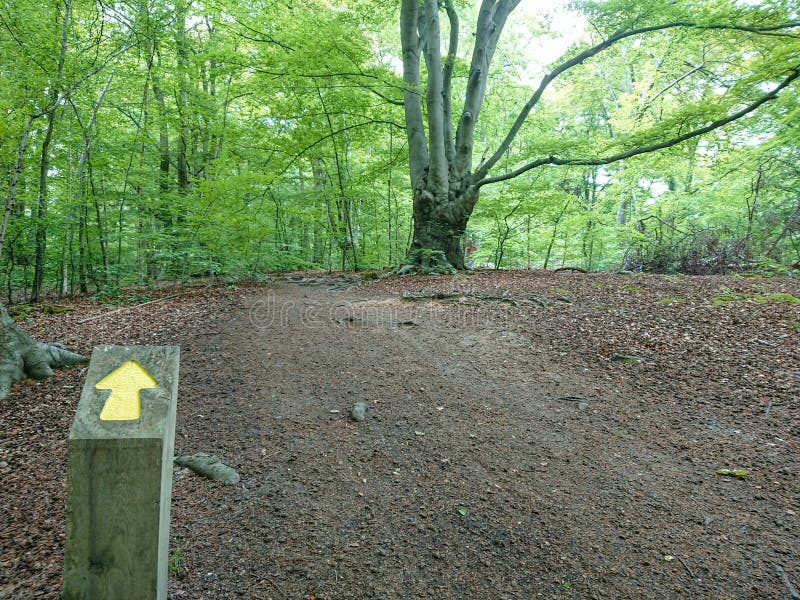Pointing the way royalty free stock photos Pointing the way royalty free stock photos