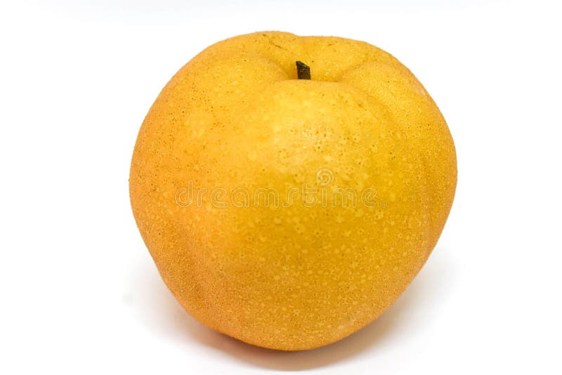 poire asiatique sur le fond blanc photos stock poire asiatique sur le fond blanc photos stock