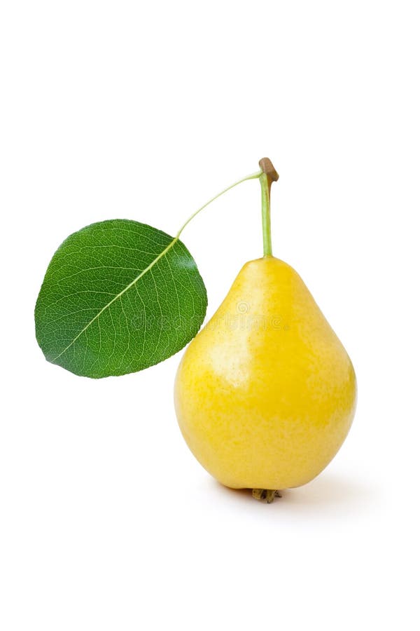 Poire jaune avec feuille verte photo stock