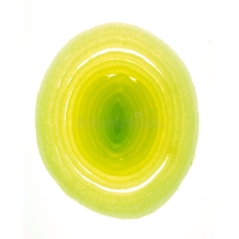 Poireau frais image stock Poireau frais image stock