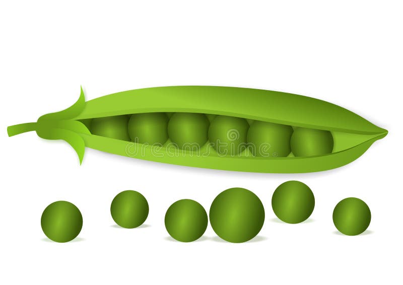 pois illustration de vecteur pois illustration de vecteur