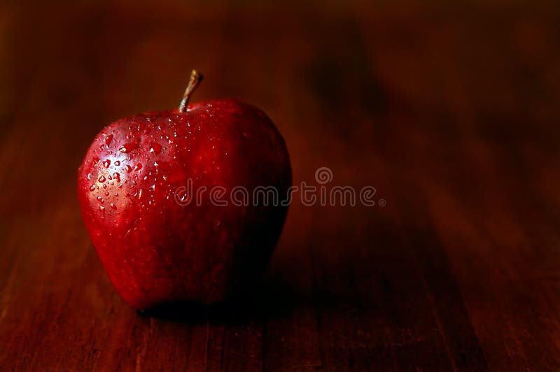 Poison apple stock photo. Image of moist, dark, ready 2200444