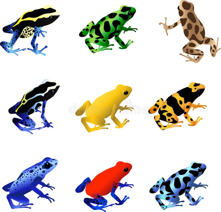 Poison Dart Frog Stock Illustrations – 1,313 Poison Dart Frog Stock