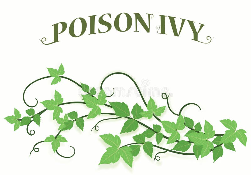 Poison Ivy Stock Illustrations 76 Poison Ivy Stock Illustrations Vectors Clipart Dreamstime,Crib Tents Safe