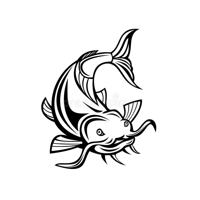 Poisson Chat Ou De Poisson Chat Attaquant Wels Avant Le Dessin En Noir Et Blanc Illustration De Vecteur Illustration Du Barbeau Mekong Poisson Chat Ou De Poisson Chat Attaquant Wels Avant Le Dessin En Noir Et Blanc Illustration De Vecteur Illustration Du Barbeau Mekong