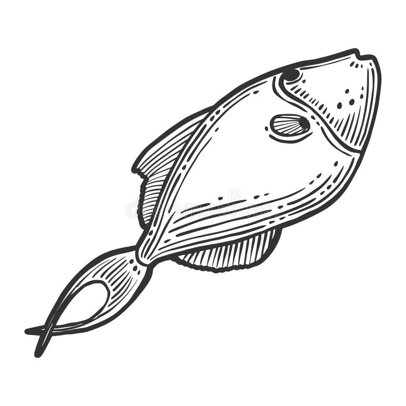 Fish. Vector concept in doodle and sketch style. Hand drawn illustration for printing on T-shirts, postcards. Icon and logo idea, isolated, salmon, white, sea, food, animal, seafood, fishing, fin, nature, aquarium, fresh, design, meat, water, river, aquatic, trout, ocean, life, tropical, pet, marine, sketchy, cartoon, clip, line, engraving, engraved, ink. Fish. Vector concept in doodle and sketch style. Hand drawn illustration for printing on T-shirts, postcards. Icon and logo idea, isolated, salmon, white, sea, food, animal, seafood, fishing, fin, nature, aquarium, fresh, design, meat, water, river, aquatic, trout, ocean, life, tropical, pet, marine, sketchy, cartoon, clip, line, engraving, engraved, ink